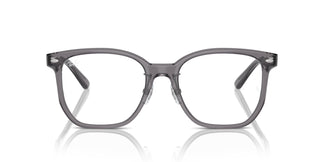 Ray-Ban RX5425D 8268 54