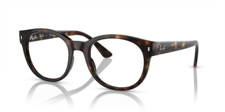 Ray-Ban RX7227 2012 53
