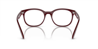Ray-Ban RX7231M F685 52