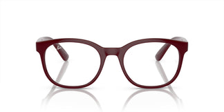 Ray-Ban RX7231M F685 52