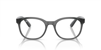 Ray-Ban RX7231M F691 52