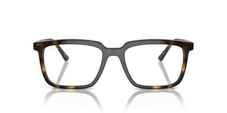 Ray-Ban RX7239 ALAIN 2012 54