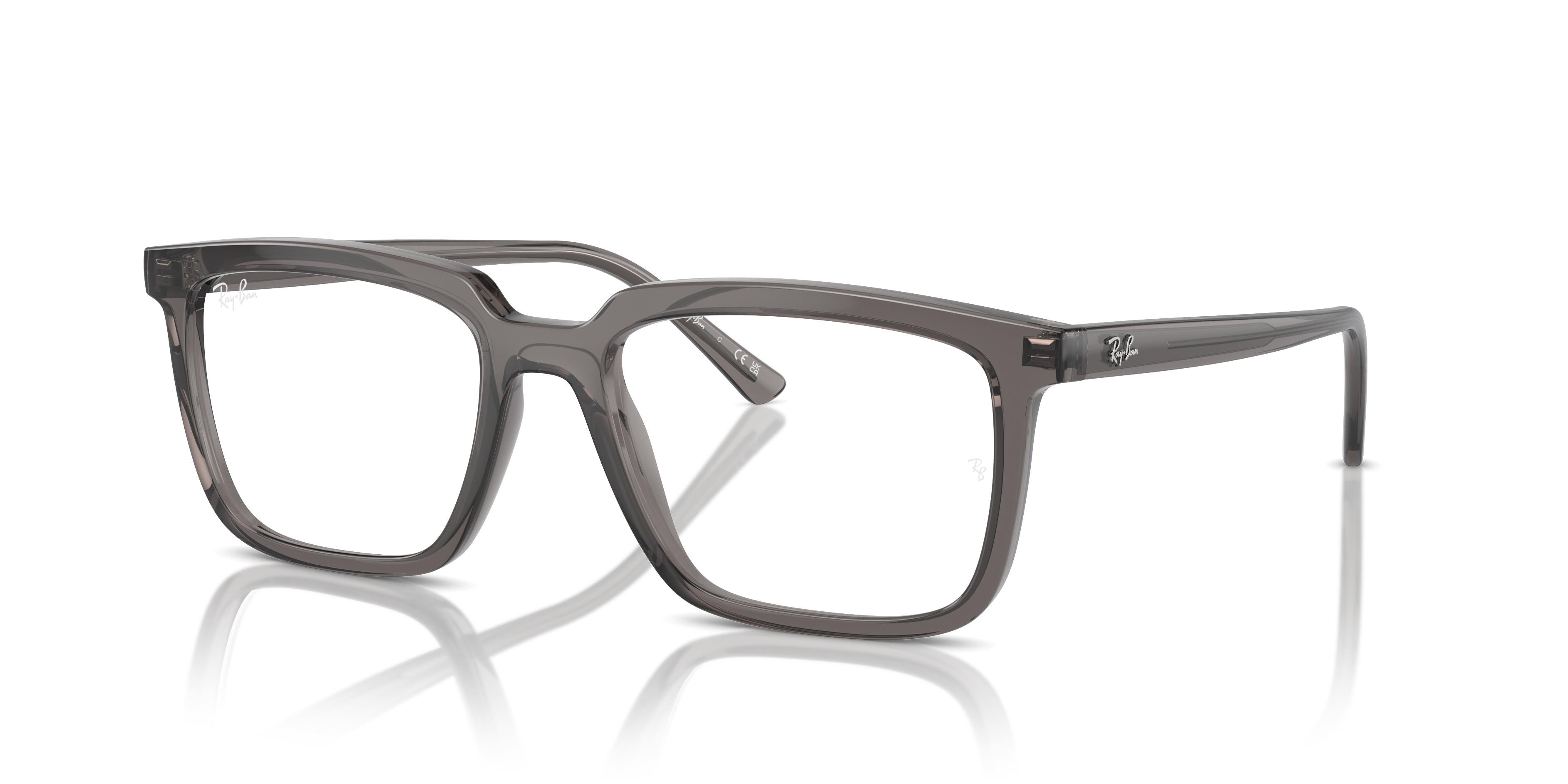 Ray-Ban RX7239 ALAIN 8257 52