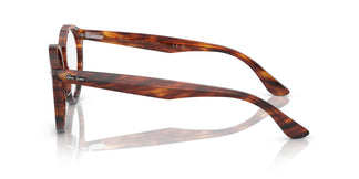 Ray-Ban RX7680V LARRY 2144 49