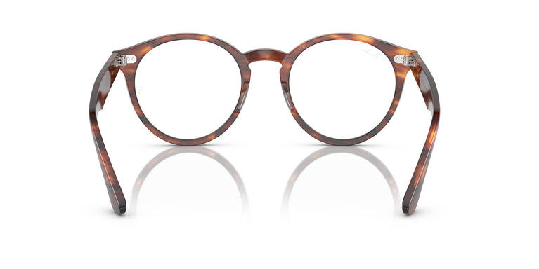 Ray-Ban RX7680V LARRY 2144 49