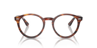Ray-Ban RX7680V LARRY 2144 49