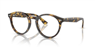 Ray-Ban RX7680V LARRY 8116 49