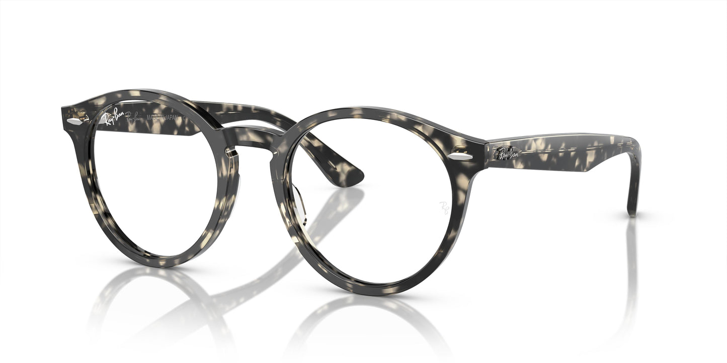 Ray-Ban RX7680V LARRY 8117 51
