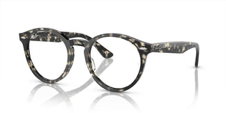 Ray-Ban RX7680V LARRY 8117 49