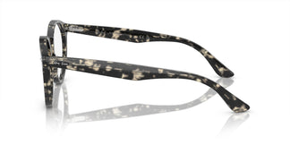 Ray-Ban RX7680V LARRY 8117 51