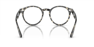 Ray-Ban RX7680V LARRY 8117 49