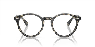 Ray-Ban RX7680V LARRY 8117 49