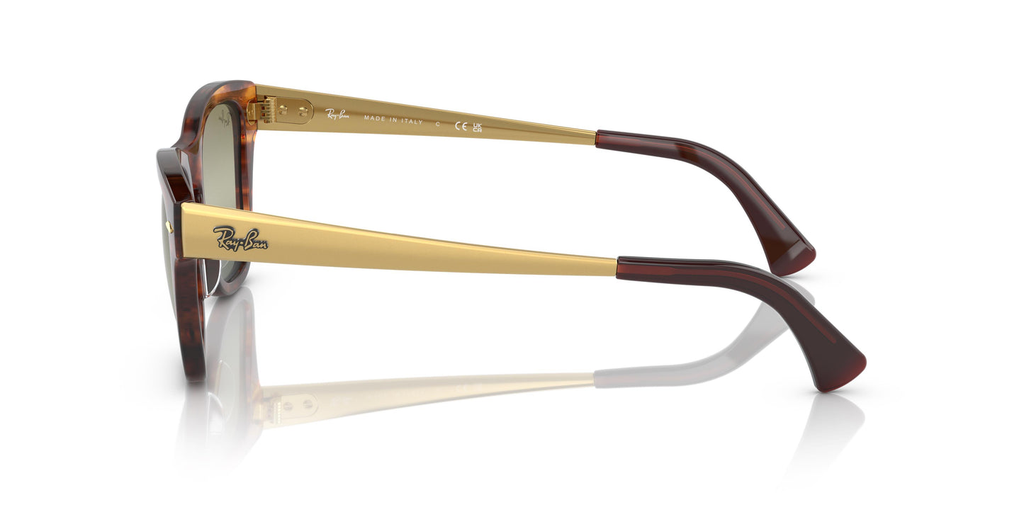 Ray-Ban RB0707SM 954/G4 50