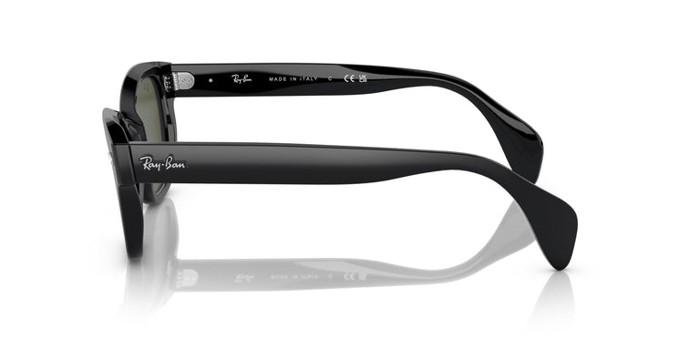 Ray-Ban RB0880S 901/31 52