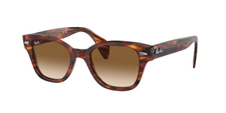 Ray-Ban RB0880S 954/51 52
