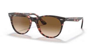 Ray-Ban RB2185 WAYFARER II 133451 52