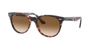 Ray-Ban RB2185 WAYFARER II 133451 55