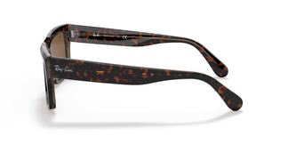 Ray-Ban RB2191 INVERNESS 129257 54