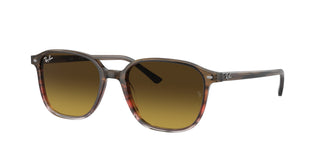 Ray-Ban RB2193 LEONARD 138085 53