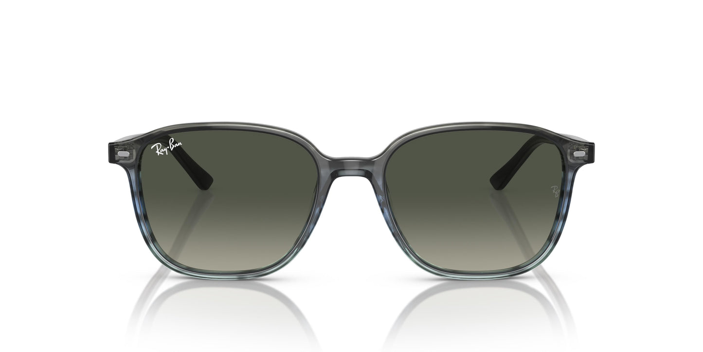 Ray-Ban RB2193 LEONARD 138171 53