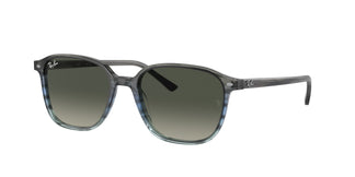 Ray-Ban RB2193 LEONARD 138171 55