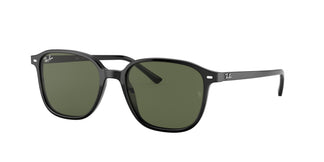 Ray-Ban RB2193 LEONARD 901/31 55
