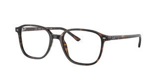 Ray-Ban RB2193 LEONARD 902/GH 53