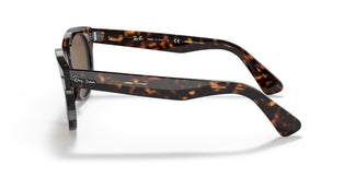 Ray-Ban RB2199 ORION 902/57 52