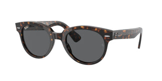 Ray-Ban RB2199 ORION 902/B1 52