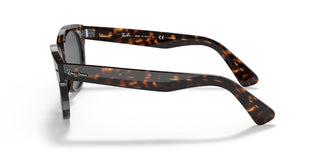Ray-Ban RB2199 ORION 902/B1 52