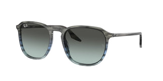 Ray-Ban RB2203 1391GK 52