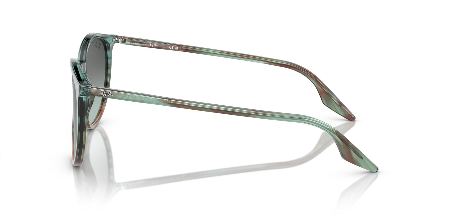 Ray-Ban RB2204 1394GK 51