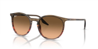 Ray-Ban RB2204 13953B 54