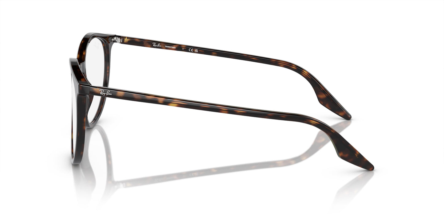 Ray-Ban RB2204 902/GJ 54