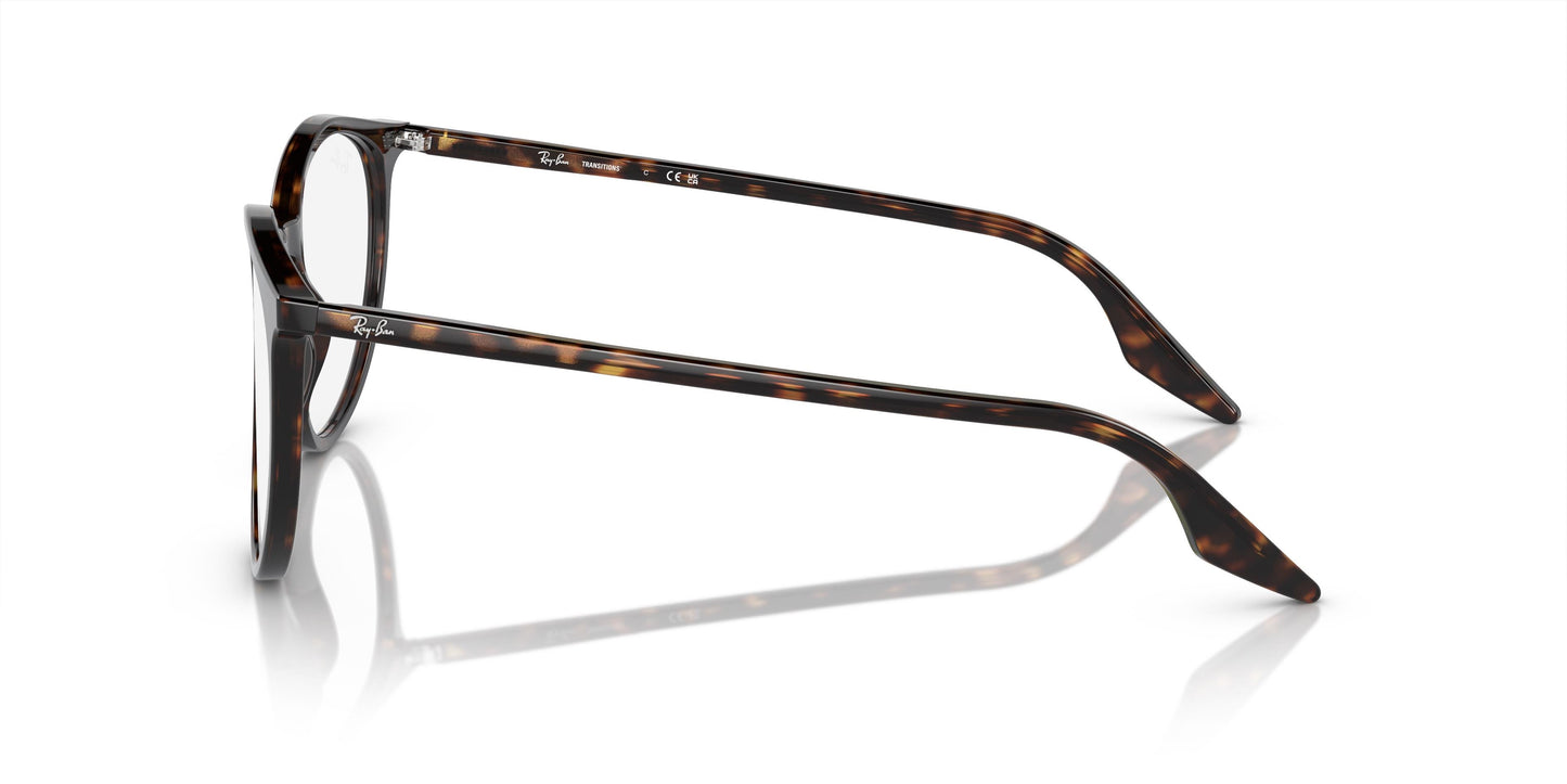 Ray-Ban RB2204 902/GJ 51