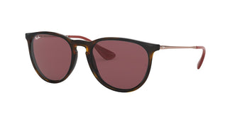Ray-Ban RB4171 ERIKA 639175 54