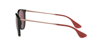 Ray-Ban RB4171 ERIKA 639175 54