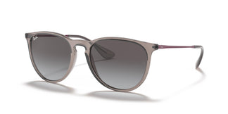 Ray-Ban RB4171 ERIKA 65138G 54