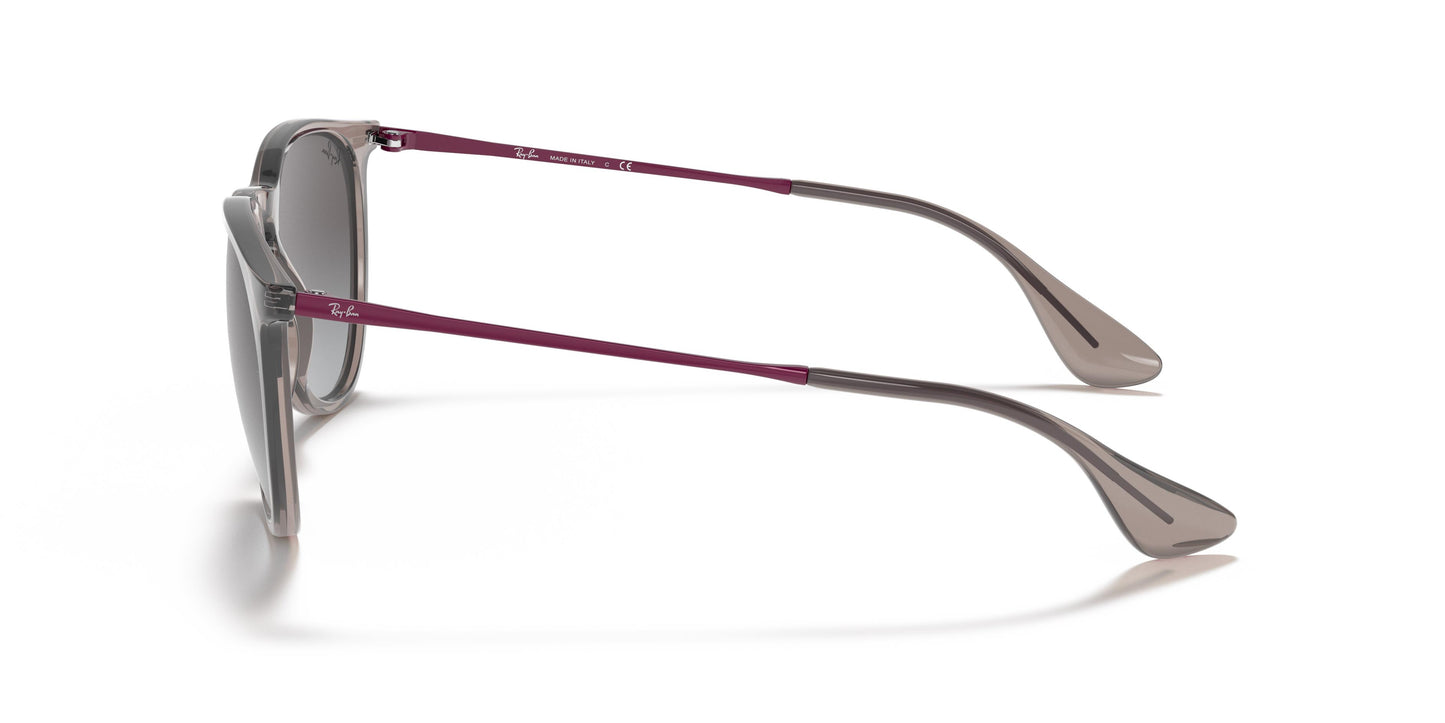 Ray-Ban RB4171 ERIKA 65138G 54