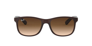 Ray-Ban RB4202 ANDY - 607313 - Matte Brown On Brown - 55 mm