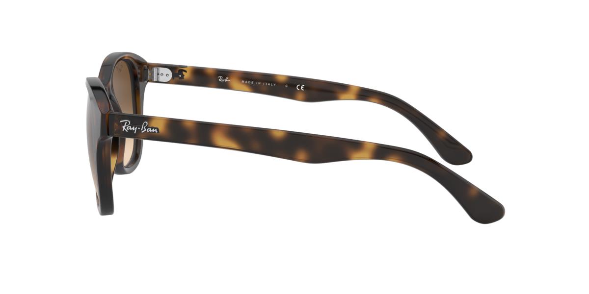 Ray-Ban RB4203 710/13 51