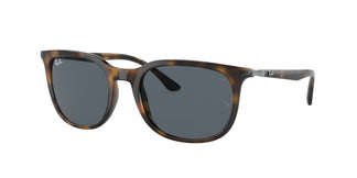 Ray-Ban RB4386 710/R5 54