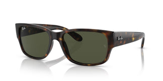 Ray-Ban RB4388 710/31 58