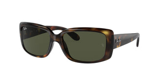 Ray-Ban RB4389 710/31 55