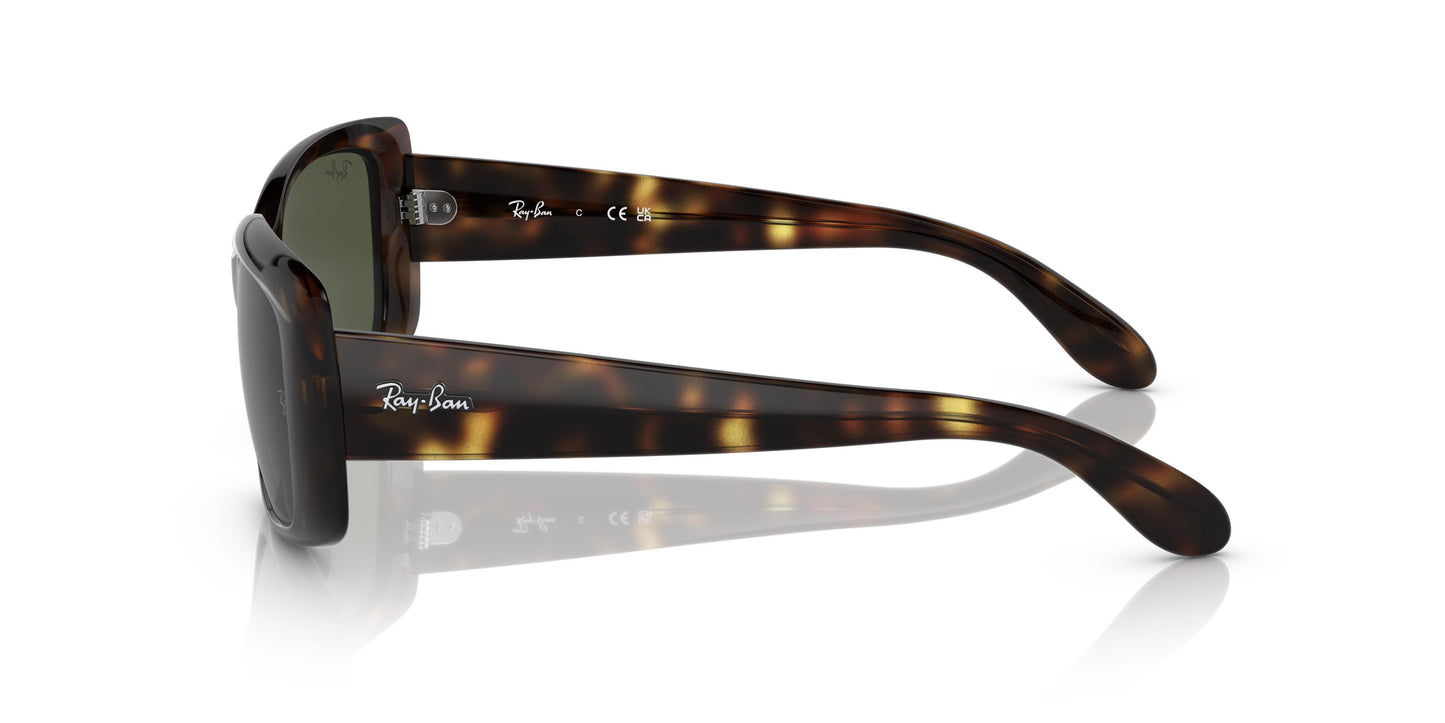 Ray-Ban RB4389 710/31 58