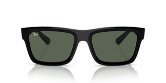 Ray-Ban RB4396 WARREN 667771 54