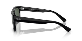 Ray-Ban RB4396 WARREN 667771 54