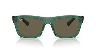 Ray-Ban RB4396 WARREN 6681/3 54