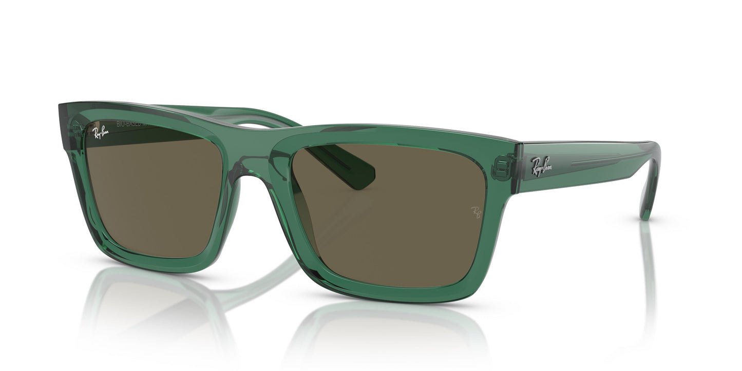 Ray-Ban RB4396 WARREN 6681/3 54