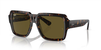 Ray-Ban RB4408 MAGELLAN 135973 54